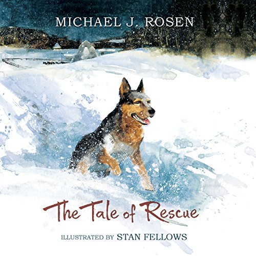 Cover of The Tale of Rescue
