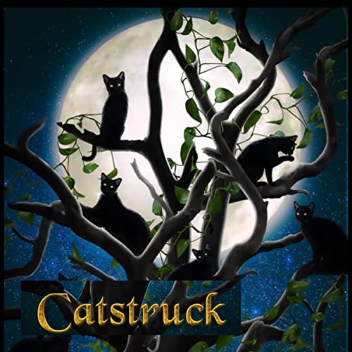 Cover of Catstruck!