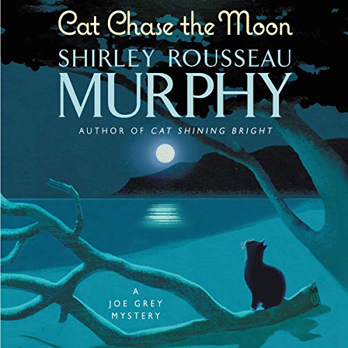 Cover of Cat Chase the Moon