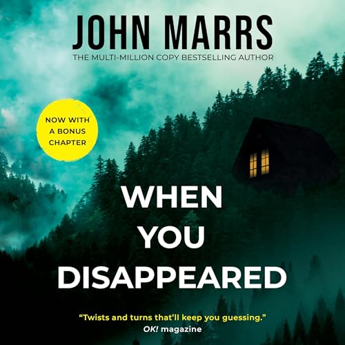 Cover of When You Disappeared