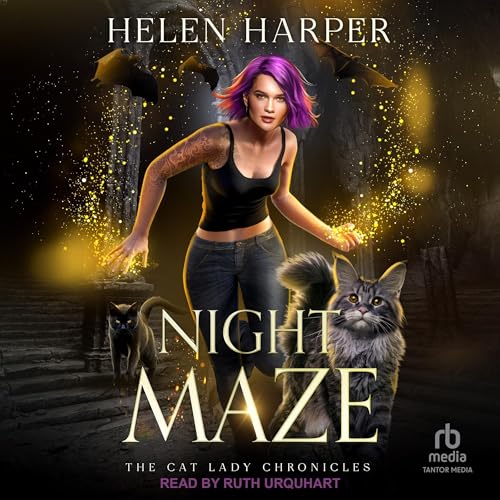 Cover of Night Maze