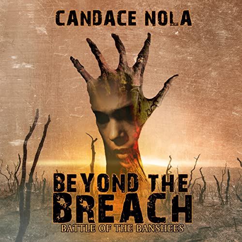 Cover of Beyond the Breach