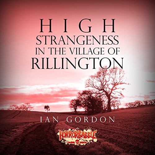 Cover of High Strangeness in the Village of Rillington