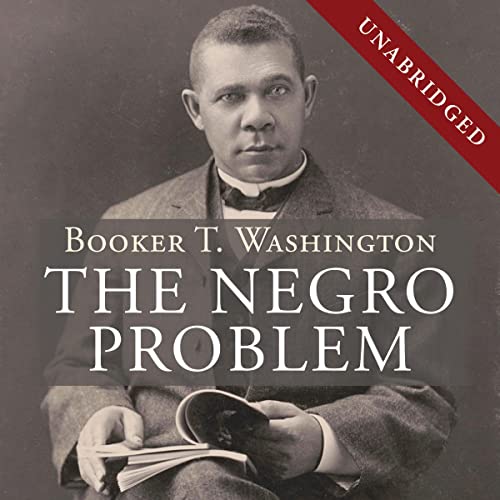 Cover of The Negro Problem