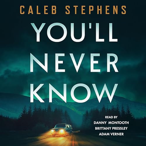 Cover of You'll Never Know