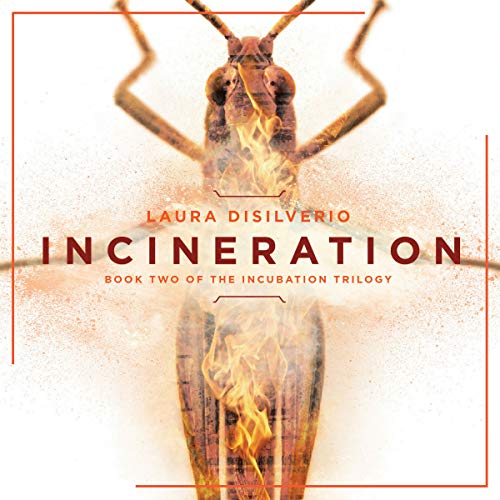 Cover of Incineration