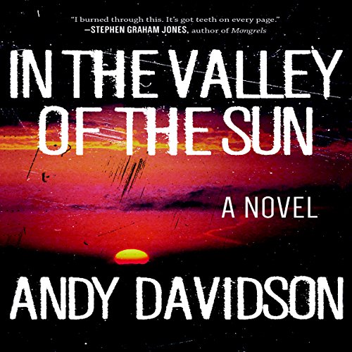 Cover of In the Valley of the Sun: A Novel