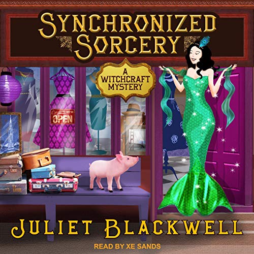Cover of Synchronized Sorcery
