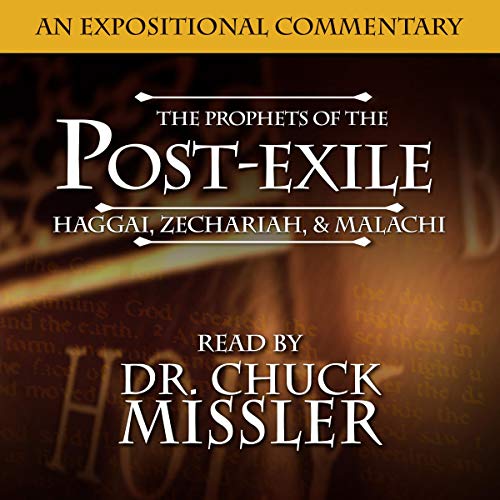 Cover of The Prophets of the Post Exile