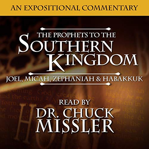 Cover of Prophets to the Southern Kingdom: Joel, Micah, Zephaniah, and Habakkuk
