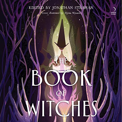 Cover of The Book of Witches