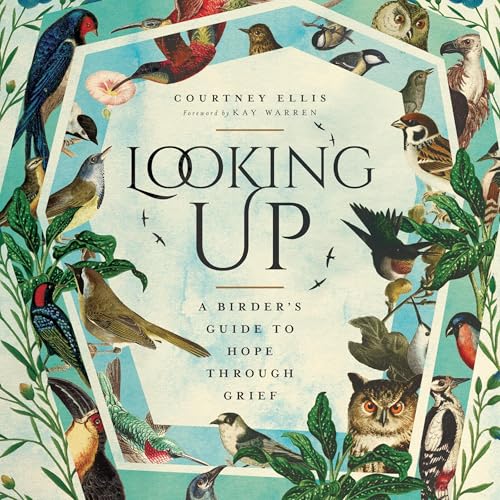 Cover of Looking Up