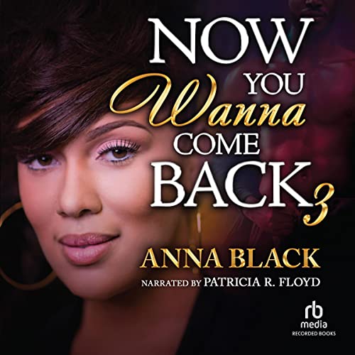 Cover of Now You Wanna Come Back 3
