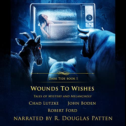 Cover of Wounds to Wishes