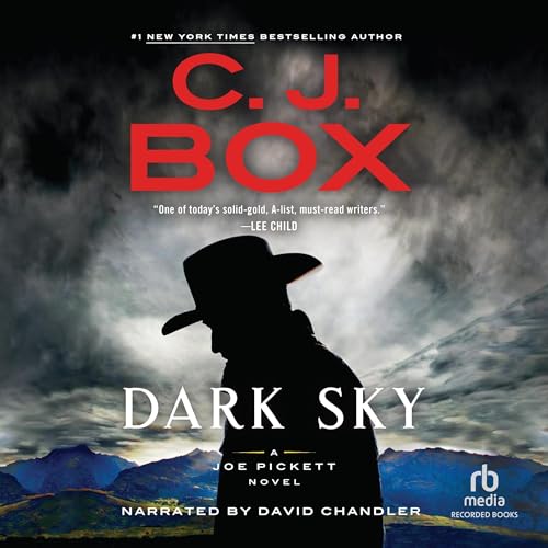 Cover of Dark Sky