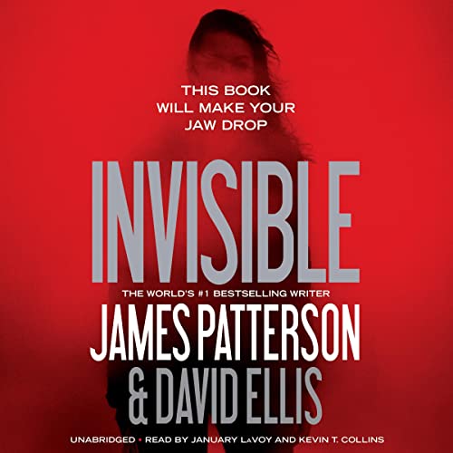 Cover of Invisible