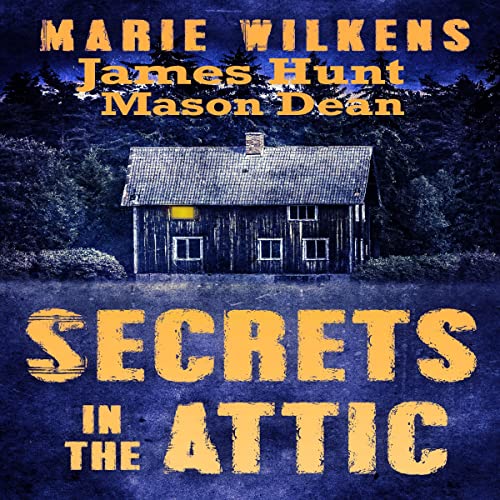 Cover of Secrets in the Attic
