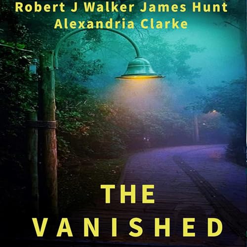 Cover of The Vanished: A Riveting Small Town Kidnapping Boxset