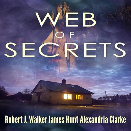 Cover of Web of Secrets Boxset