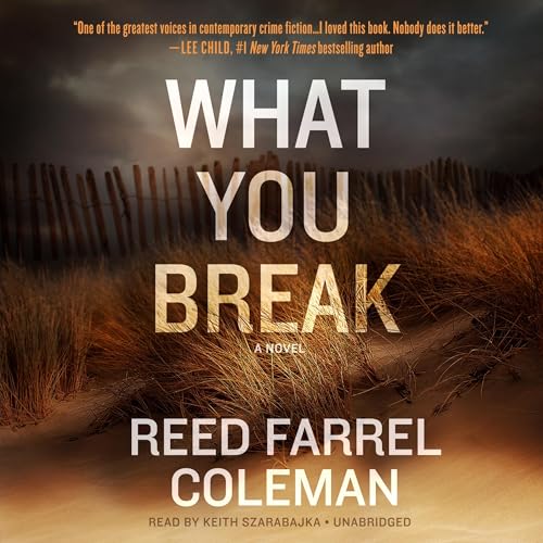 Cover of What You Break