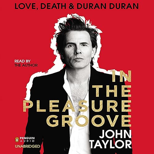 Cover of In the Pleasure Groove