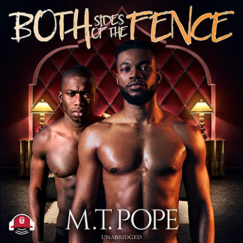 Cover of Both Sides of the Fence