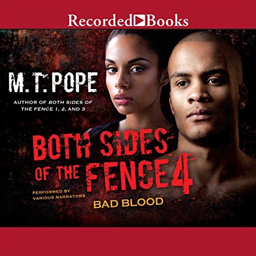 Cover of Both Sides of the Fence 4