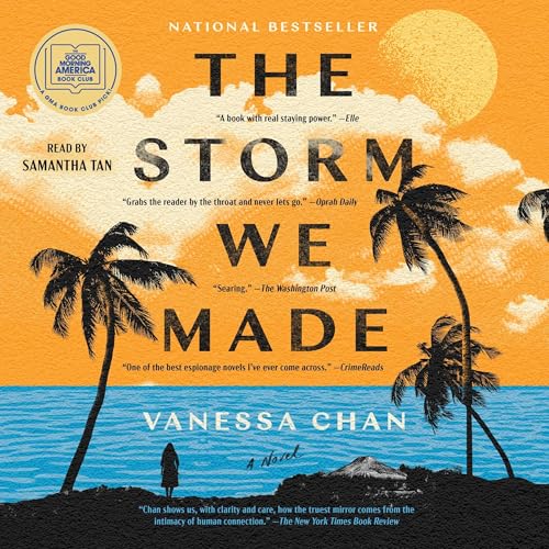 Cover of The Storm We Made