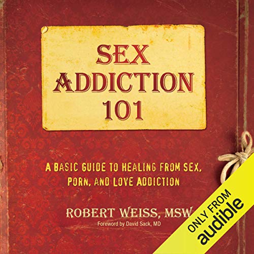 Cover of Sex Addiction 101