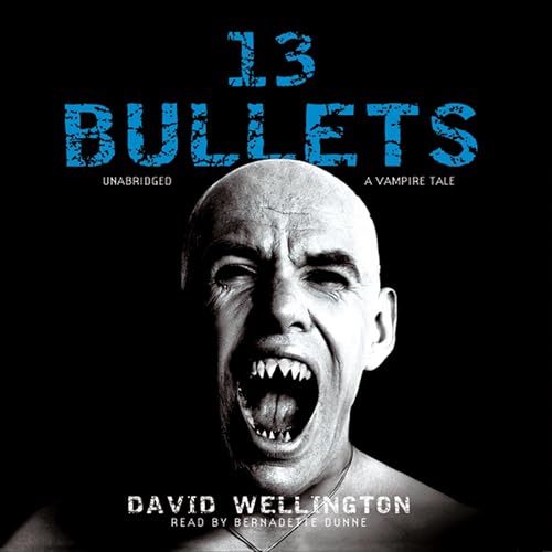 Cover of 13 Bullets