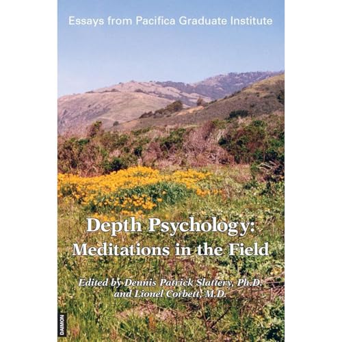 Cover of Depth Psychology: Meditations in the Field