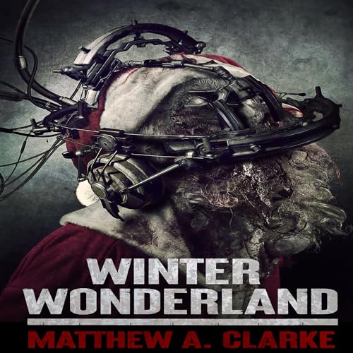 Cover of Winter Wonderland