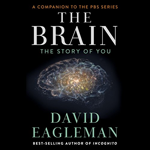 Cover of The Brain