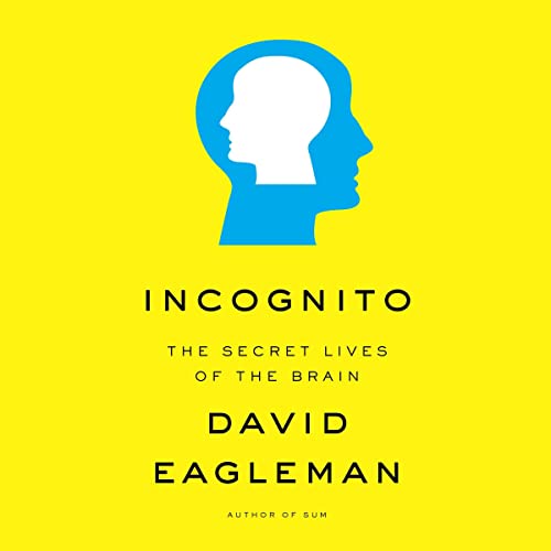 Cover of Incognito