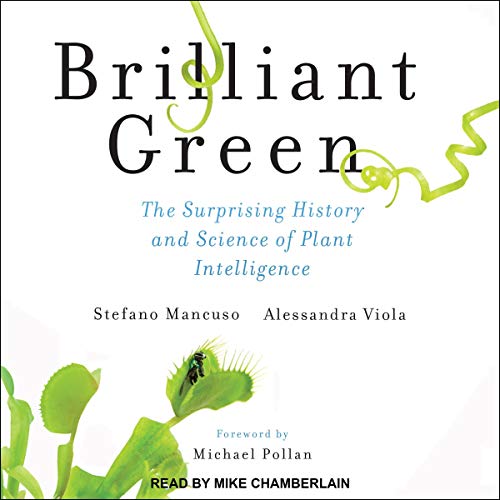 Cover of Brilliant Green
