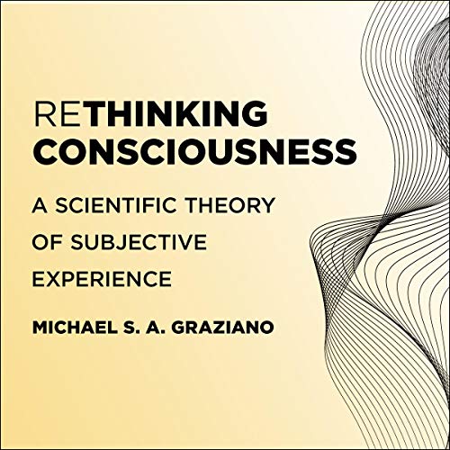 Cover of Rethinking Consciousness