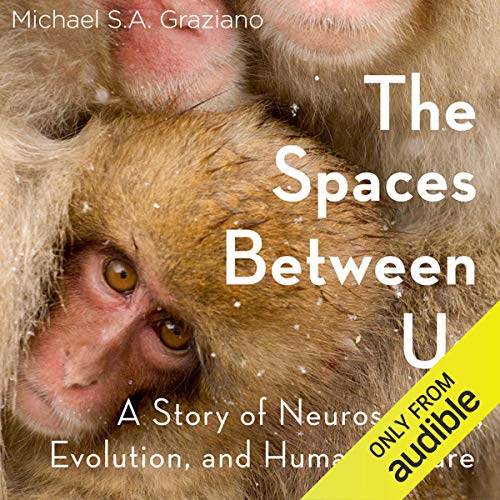 Cover of The Spaces Between Us