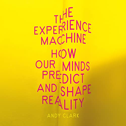 Cover of The Experience Machine