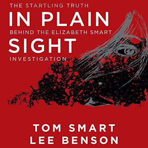Cover of In Plain Sight