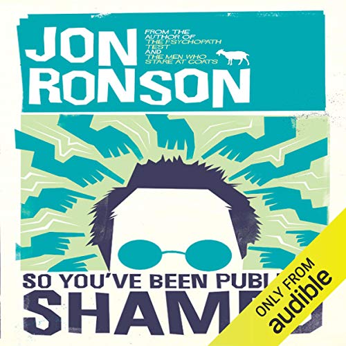Cover of So You've Been Publicly Shamed