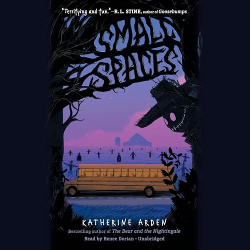 Cover of Small Spaces