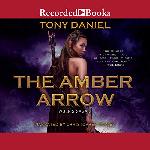 Cover of The Amber Arrow