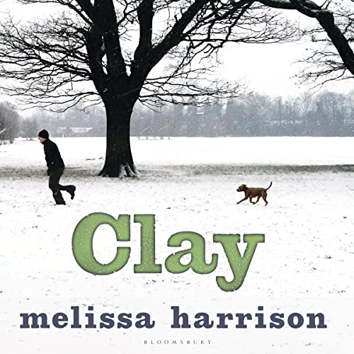 Cover of Clay