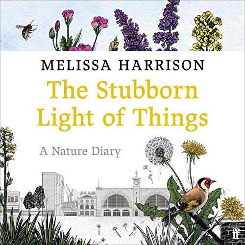Cover of The Stubborn Light of Things