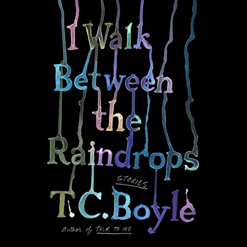 Cover of I Walk Between the Raindrops