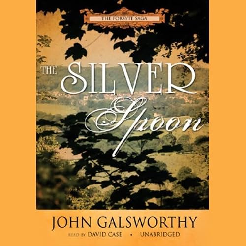 Cover of The Silver Spoon