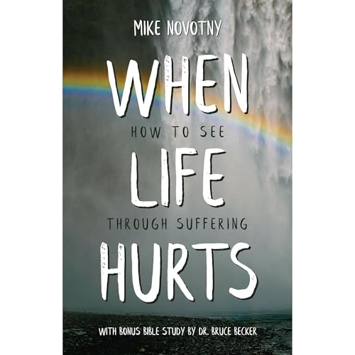 Cover of When Life Hurts
