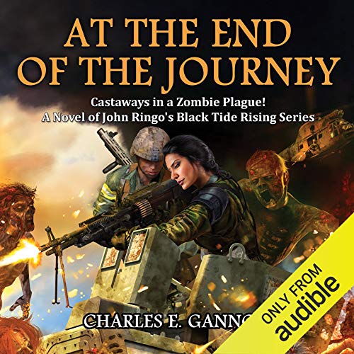 Cover of At the End of the Journey