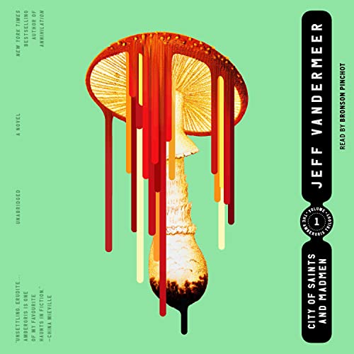 Cover of City of Saints and Madmen