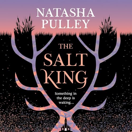Cover of The Salt King